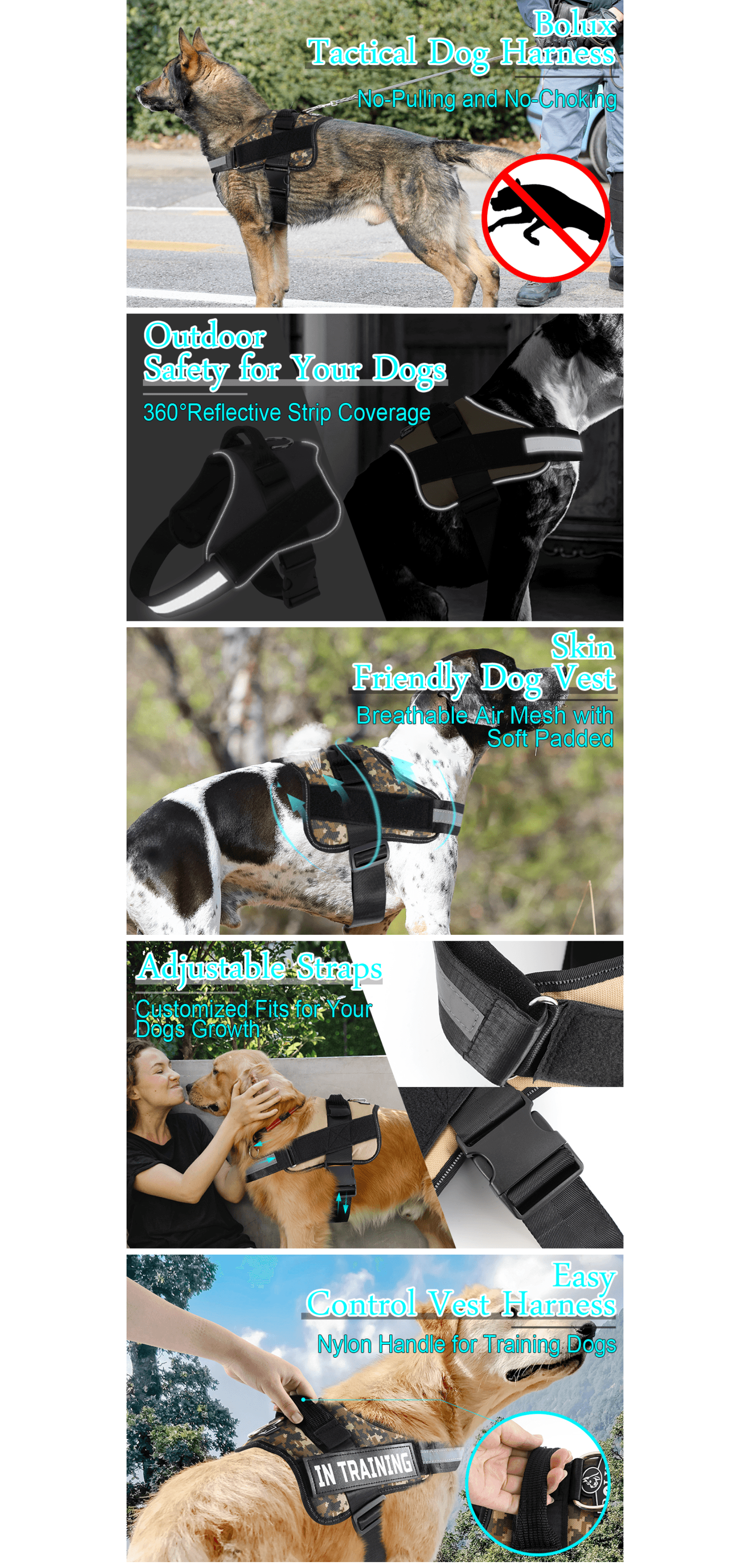 Basic A+ Content for B08M3553Y7