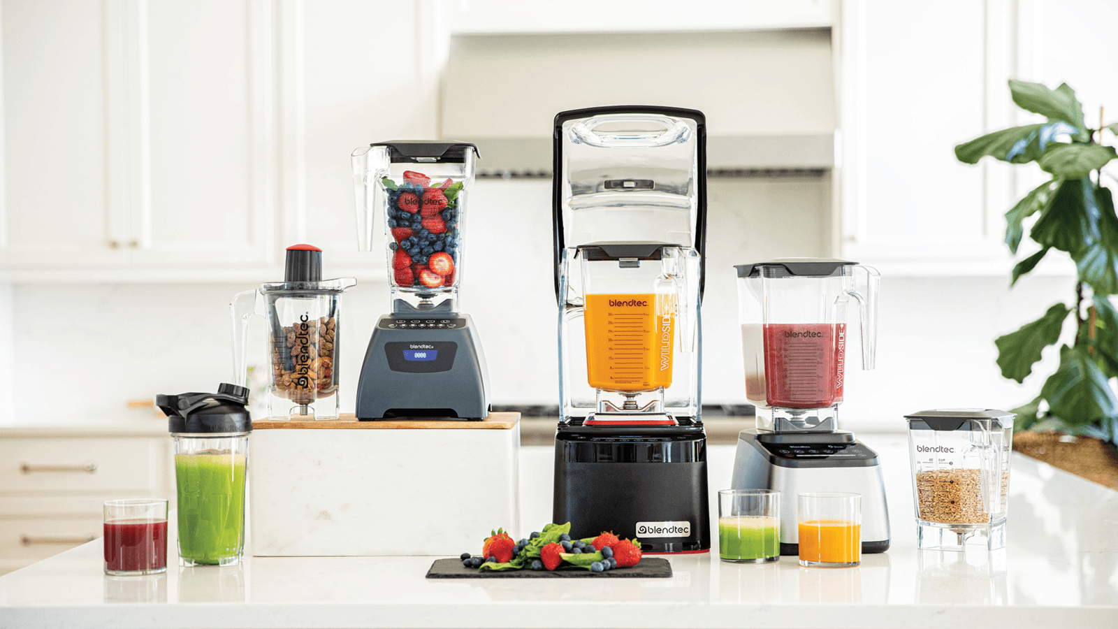 Basic A+ Content for Blendtec 19