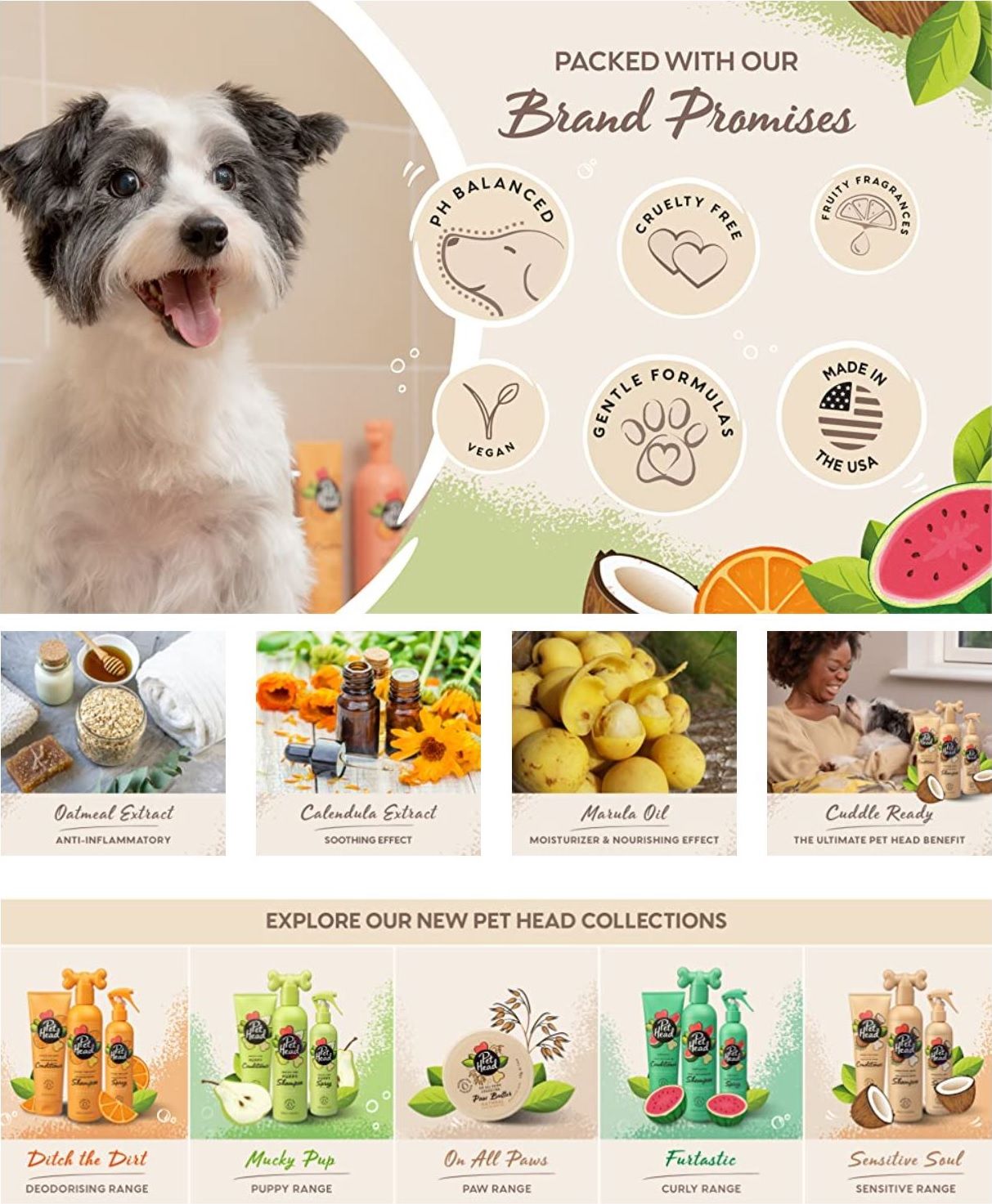 A+ Basic for Company of Animals 1