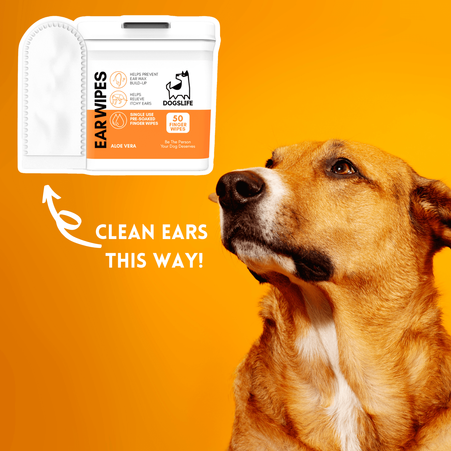 Secondary Images for DOGSLIFE INF PET 2