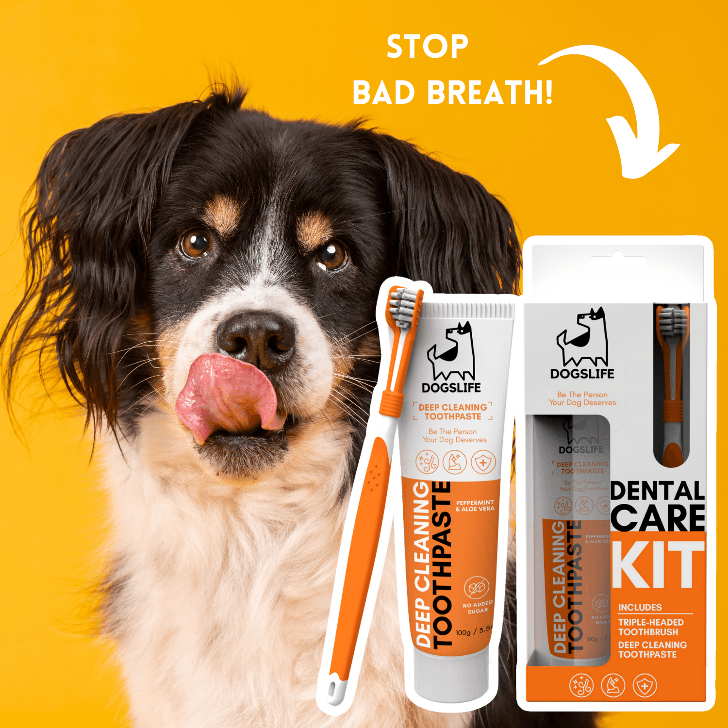 Secondary Images for DOGSLIFE INF PET 3