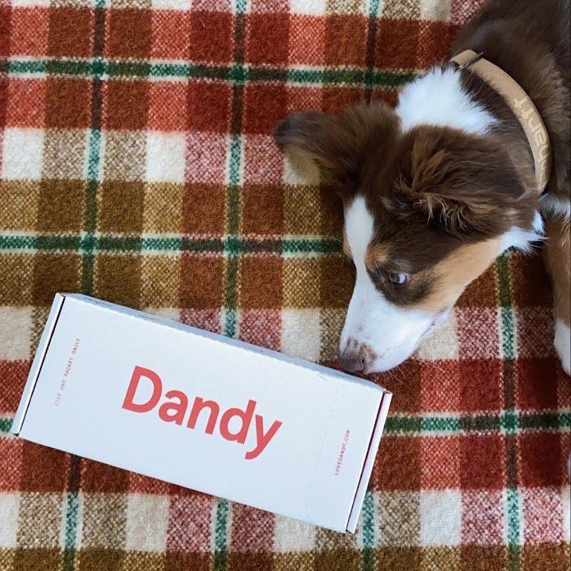 Dandy 17: Lifestyle Images