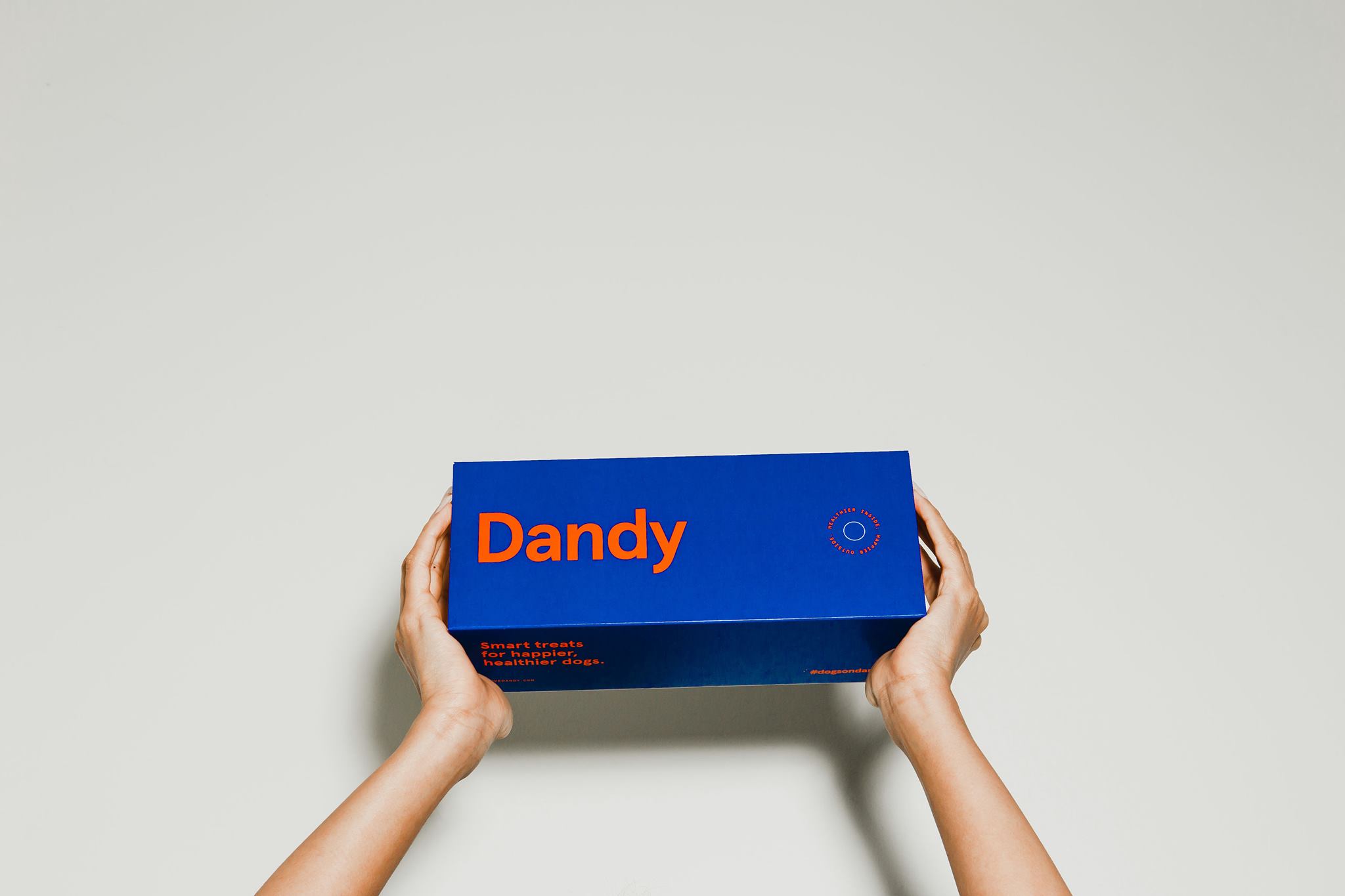 Dandy 2: Lifestyle Images