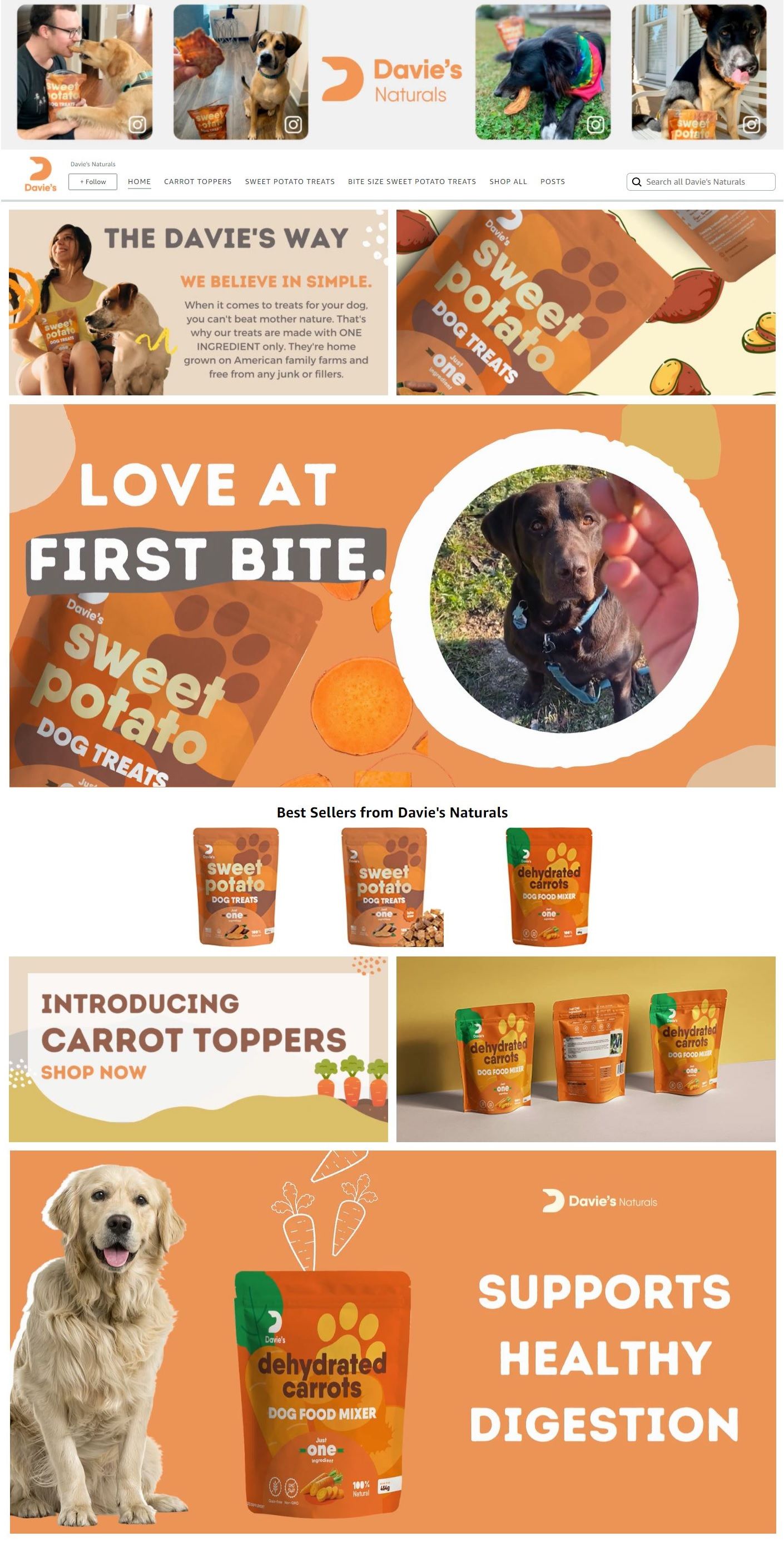 A+ Basic for Davie's Naturals 1