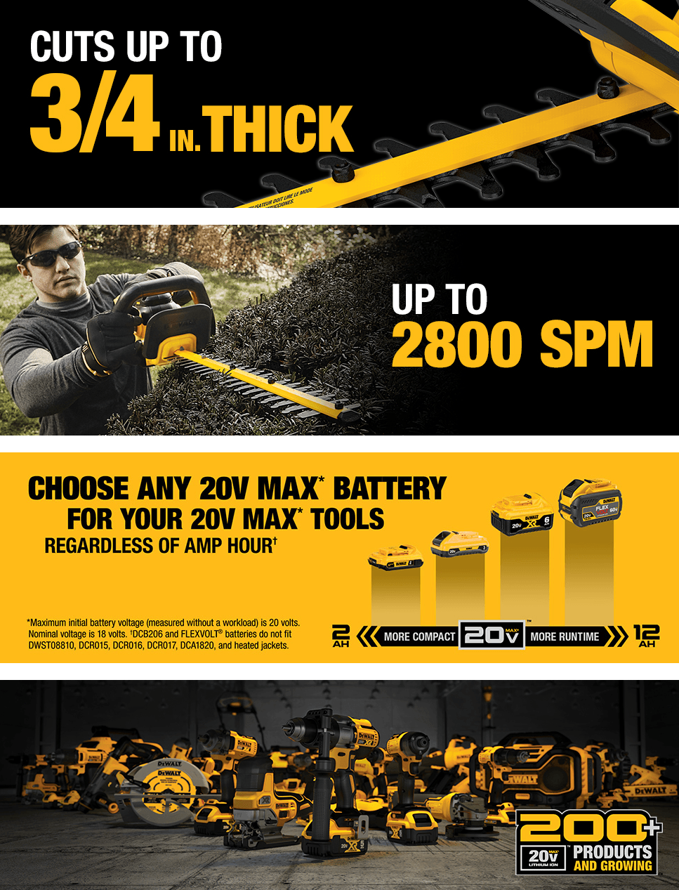 Basic A+ Content for Dewalt ToolsAndHomeImprovement AA 6