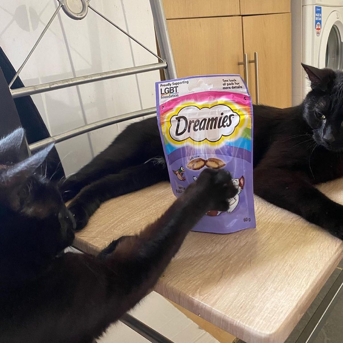 UGC Images for Dreamies 11