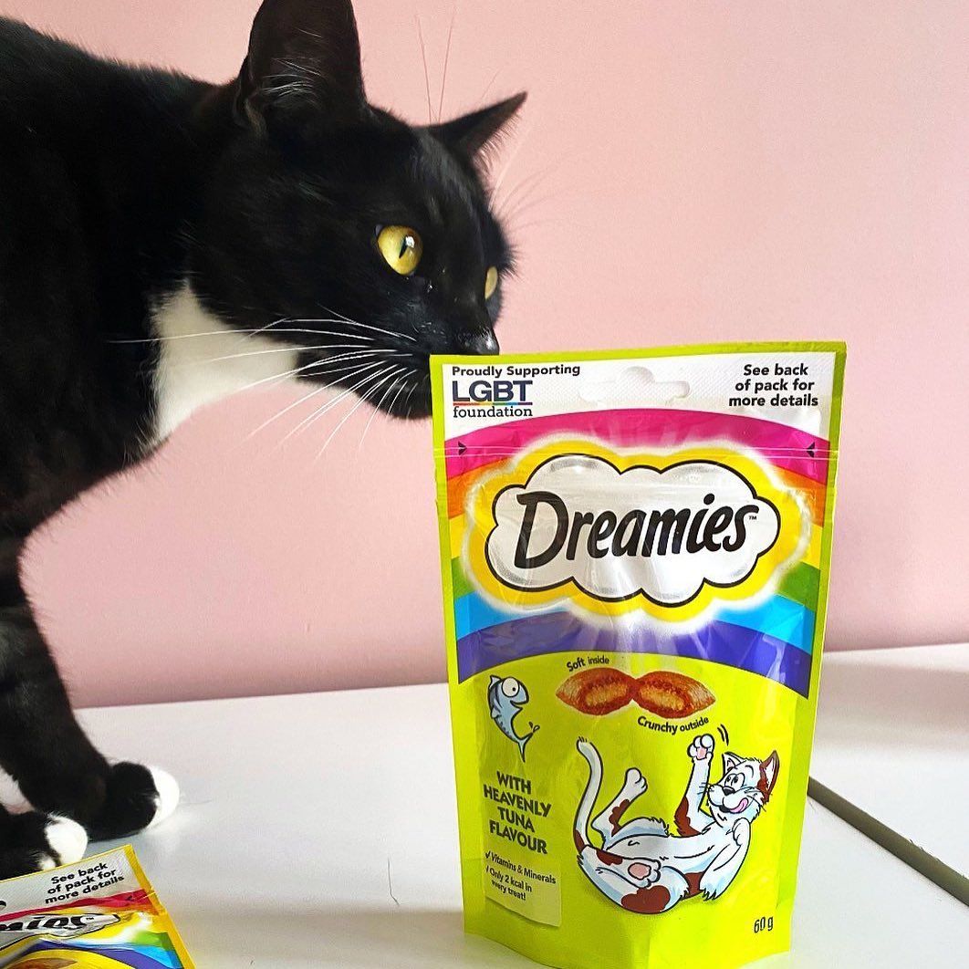 UGC Images for Dreamies 12