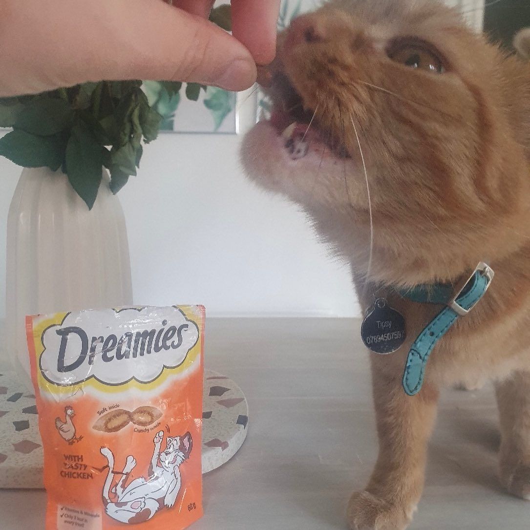UGC Images for Dreamies 16