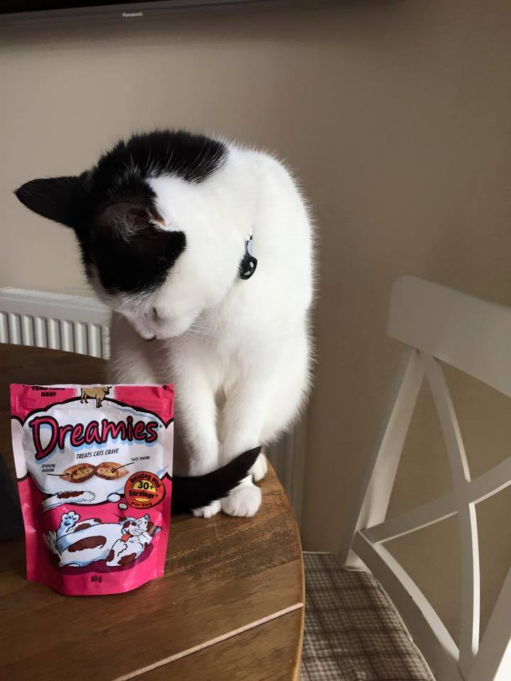 UGC Images for Dreamies 18