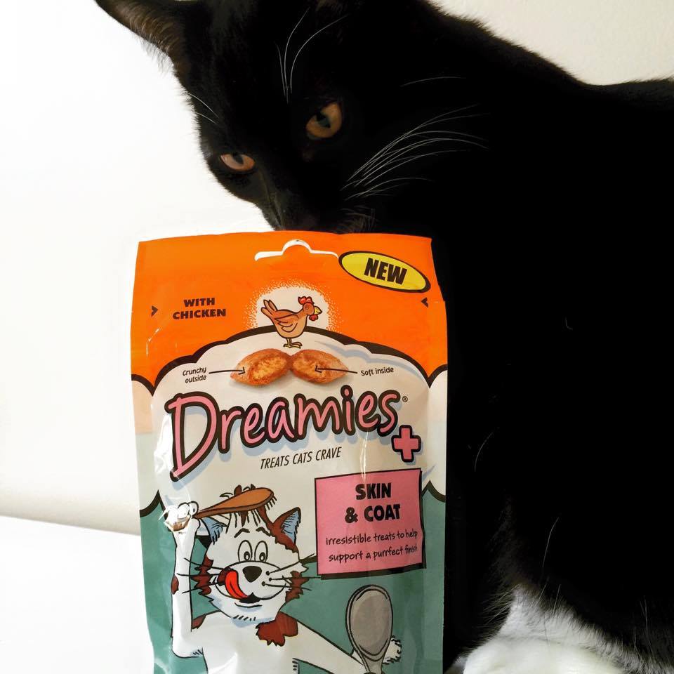 UGC Images for Dreamies 19