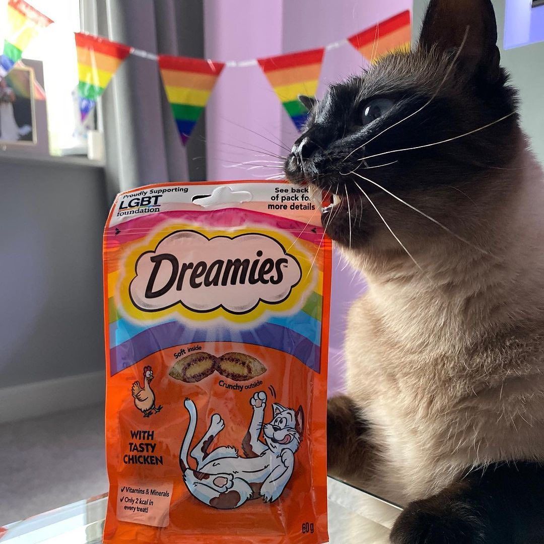 UGC Images for Dreamies 9