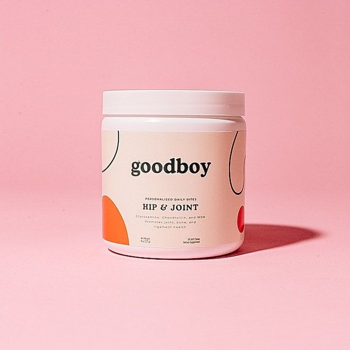 Goodboy 11: Lifestyle Images