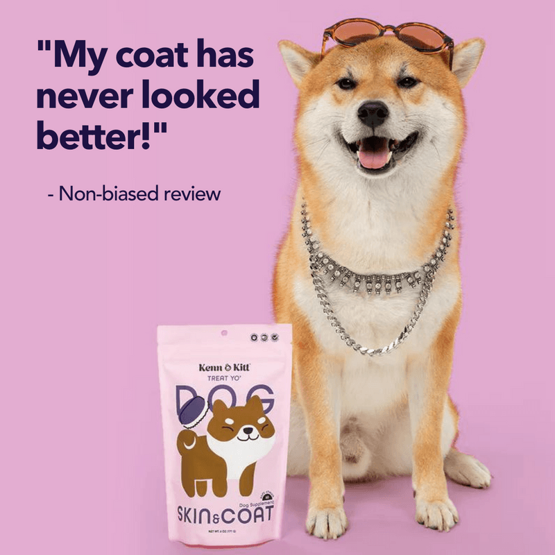 Review Images for KENN AND KITT PR PET 2