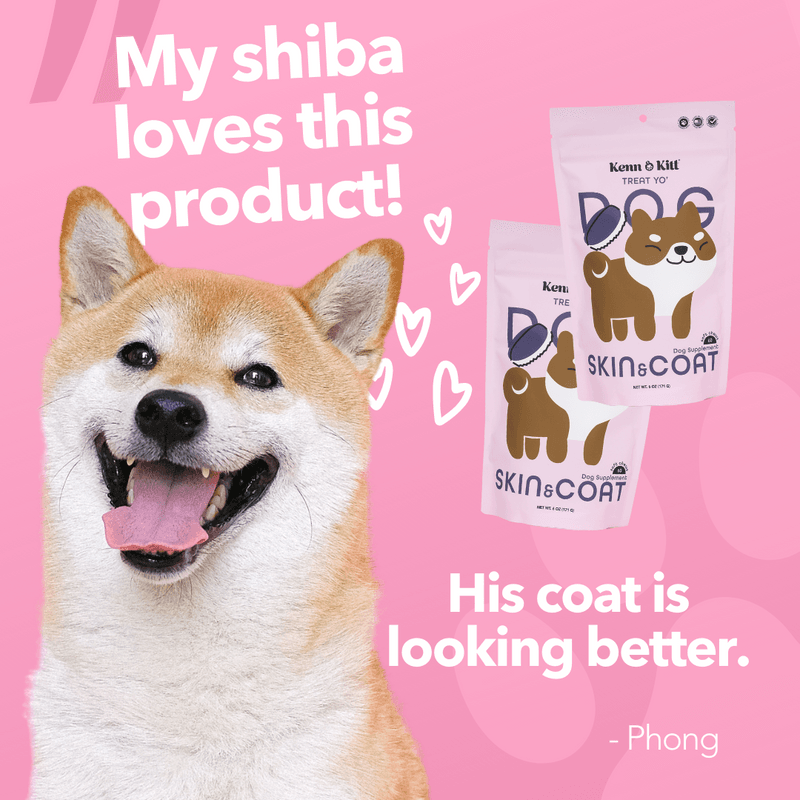 Review Images for KENN AND KITT PR PET 3