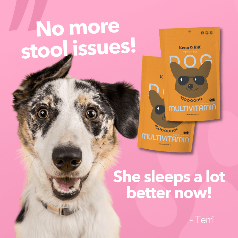 Review Images for KENN AND KITT PR PET 4