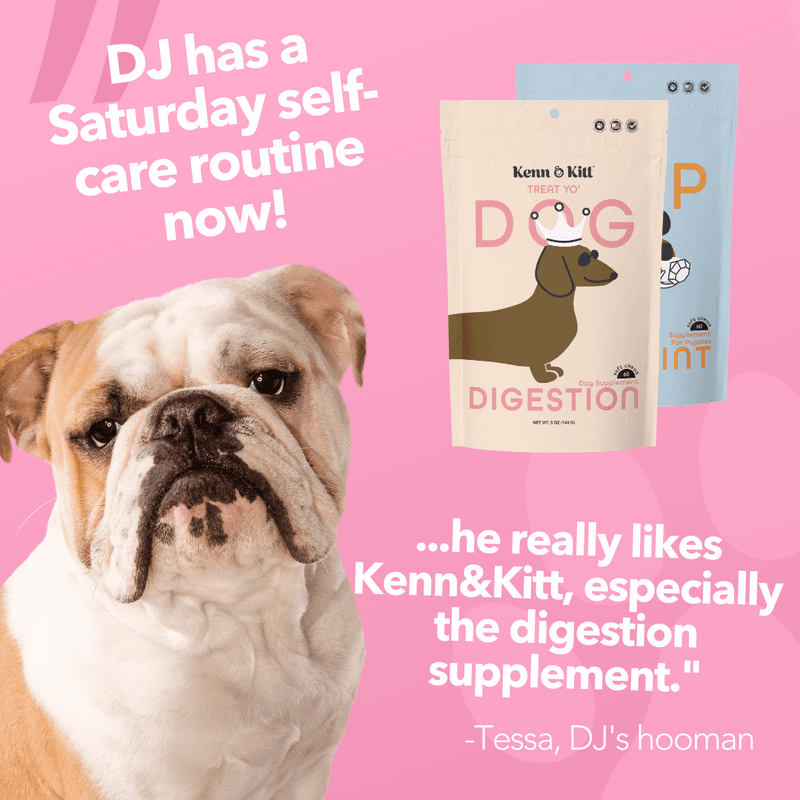 Review Images for KENN AND KITT PR PET 7