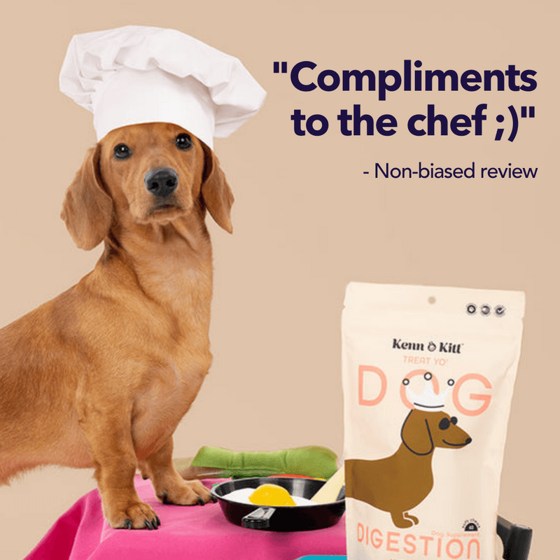 Review Images for KENN AND KITT PR PET 8