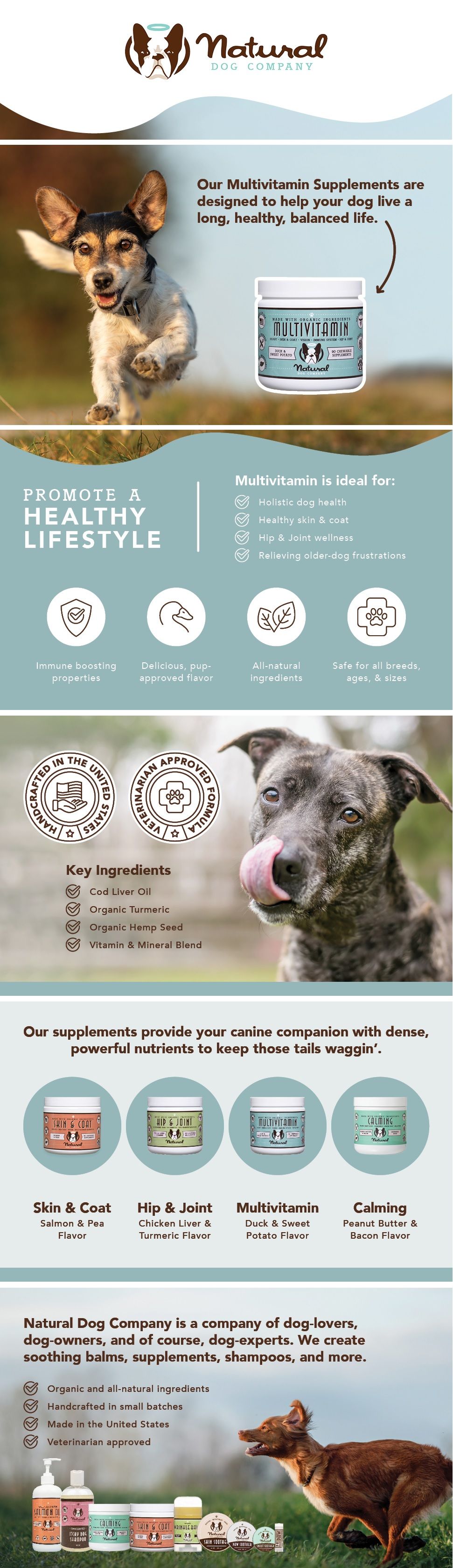 A+ Basic for NATURAL DOG COMPANY AA PET 2