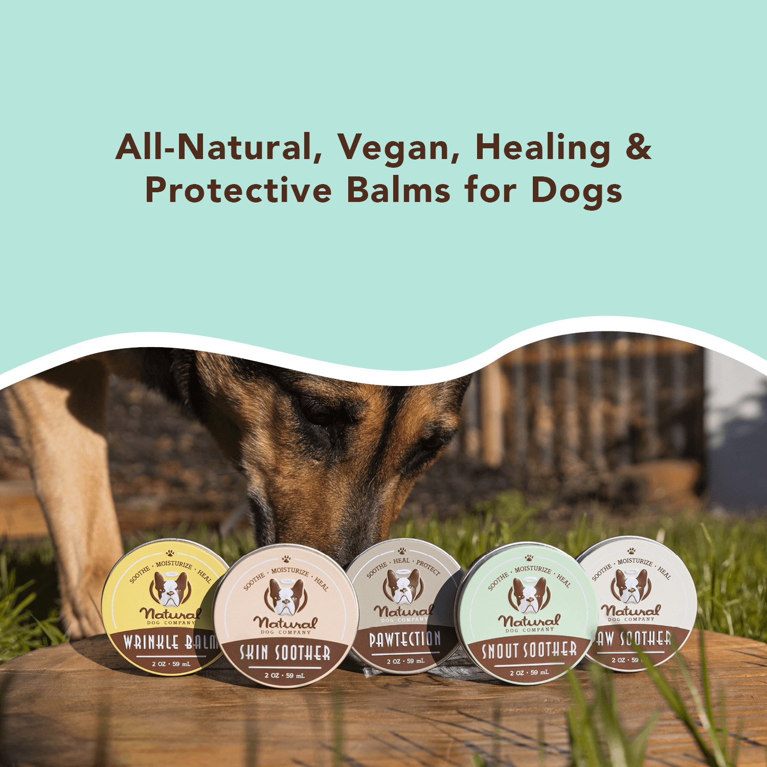 Brand Store for NATURAL DOG COMPANY STORE PET 3