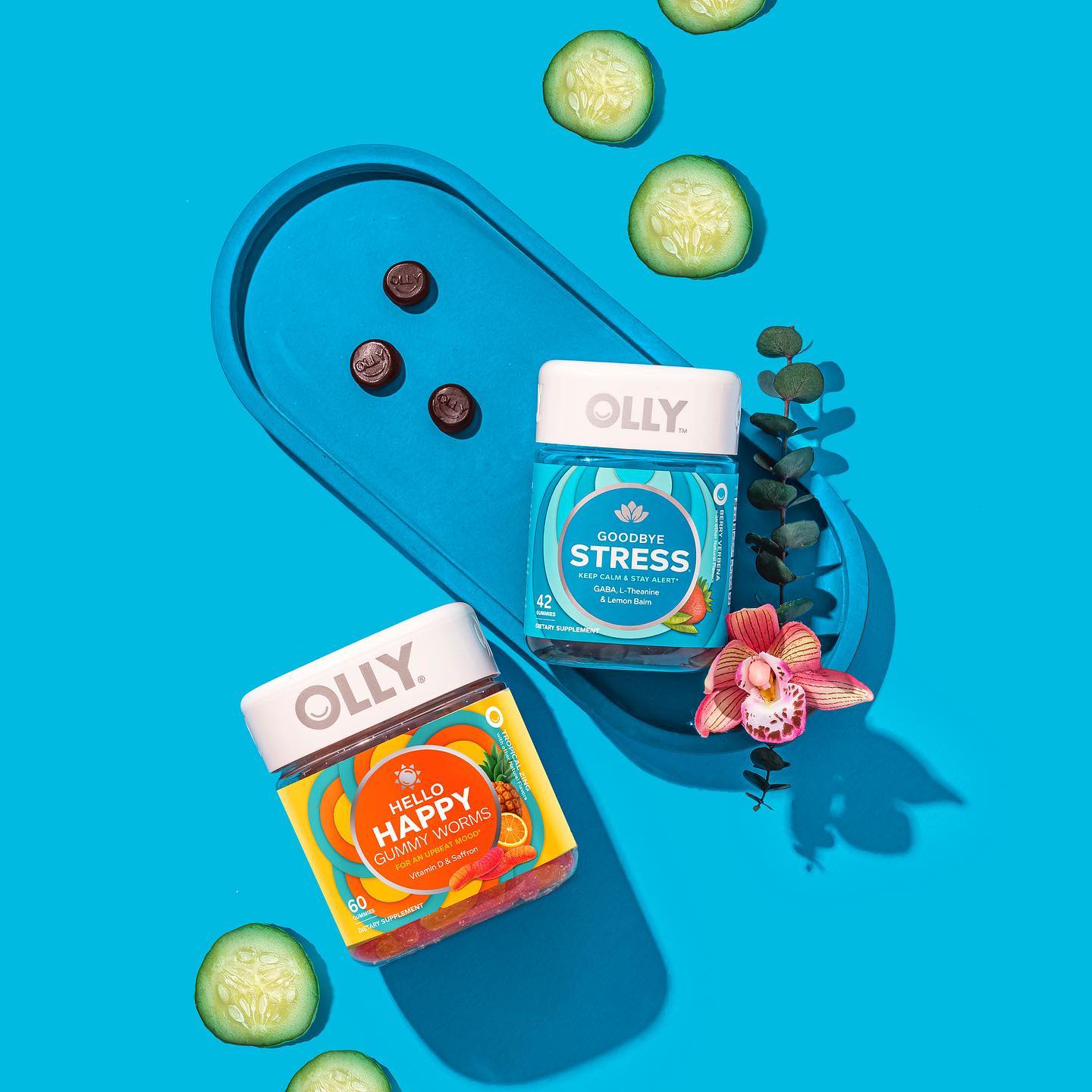 OLLY 24: Lifestyle Images