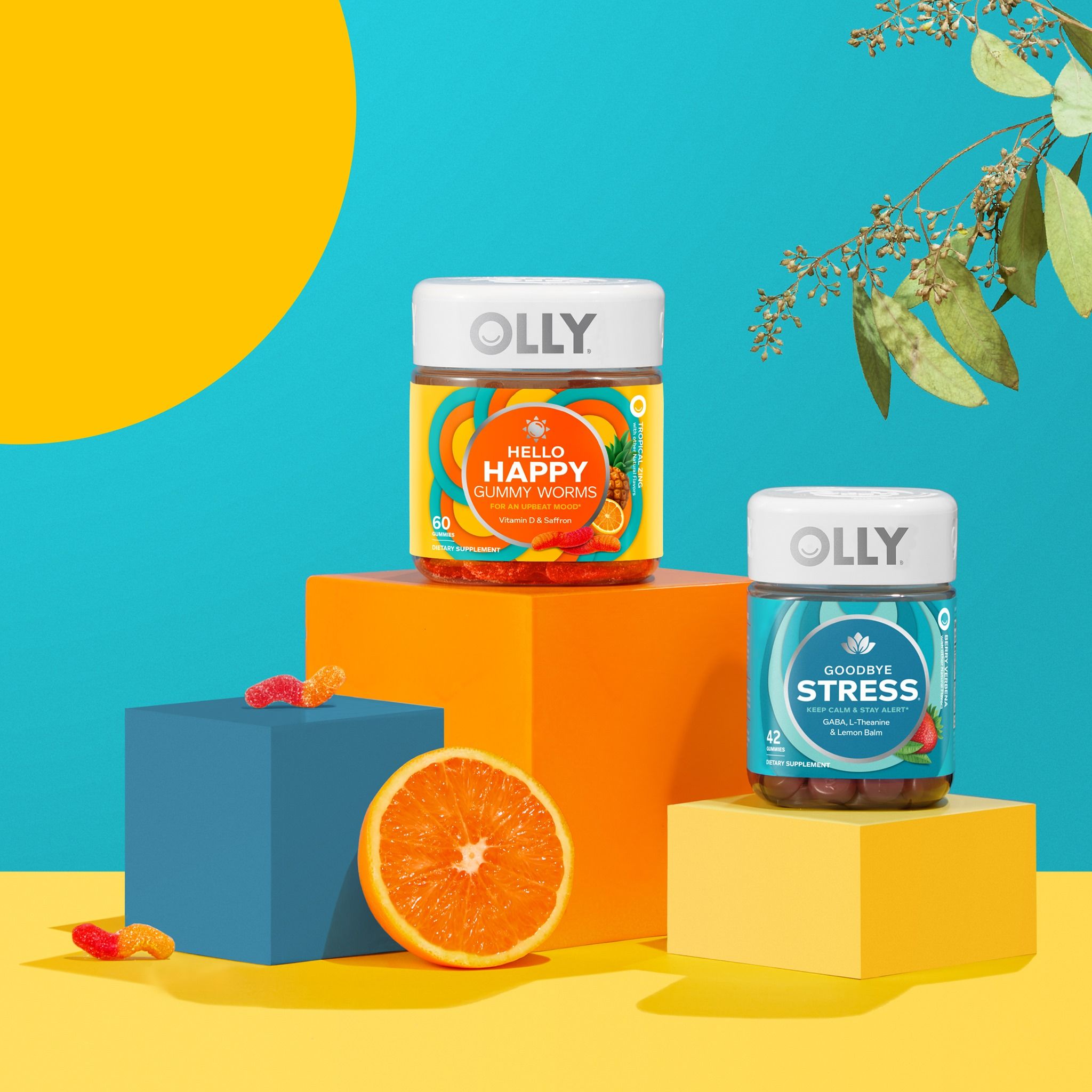 OLLY 67: Lifestyle Images