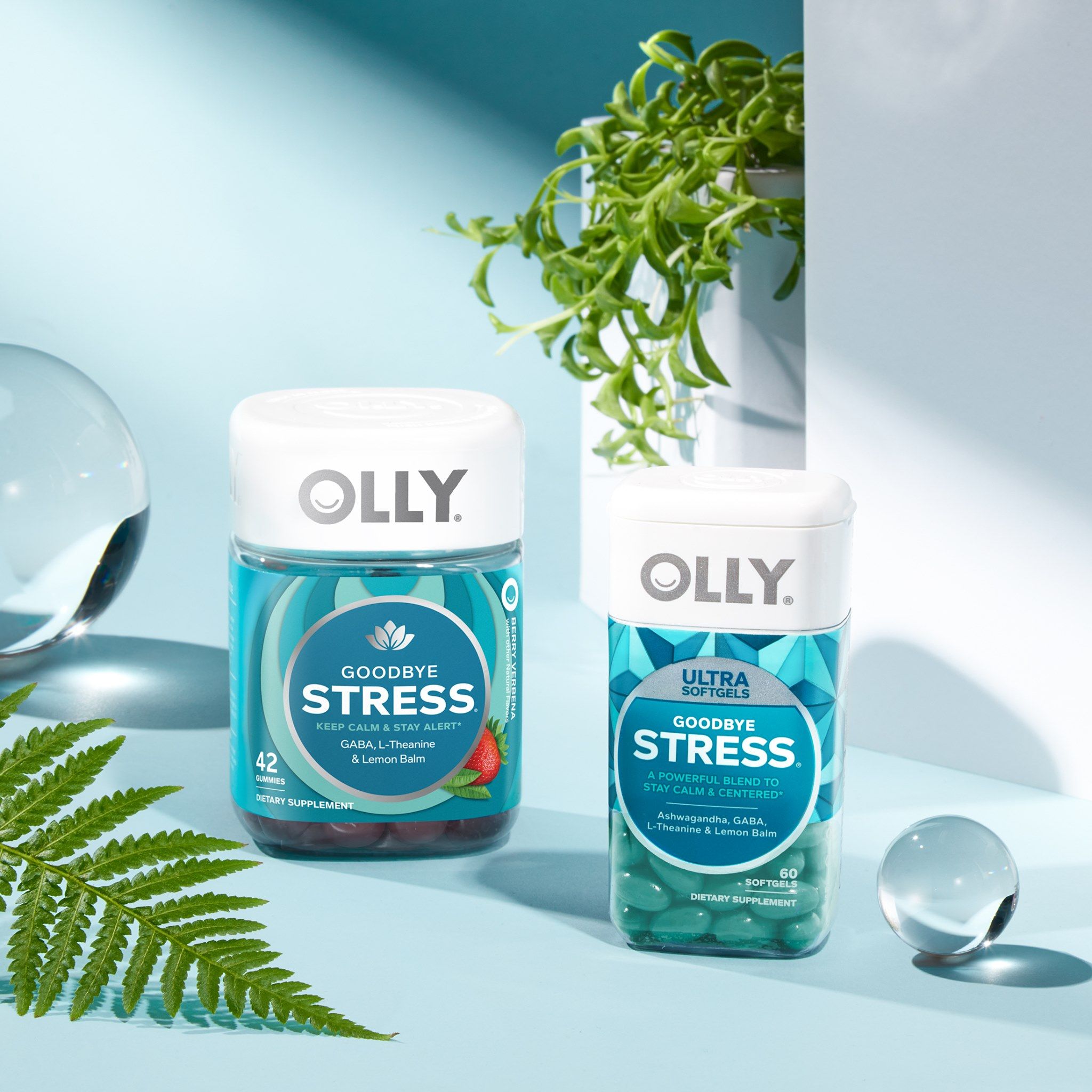 OLLY 70: Lifestyle Images