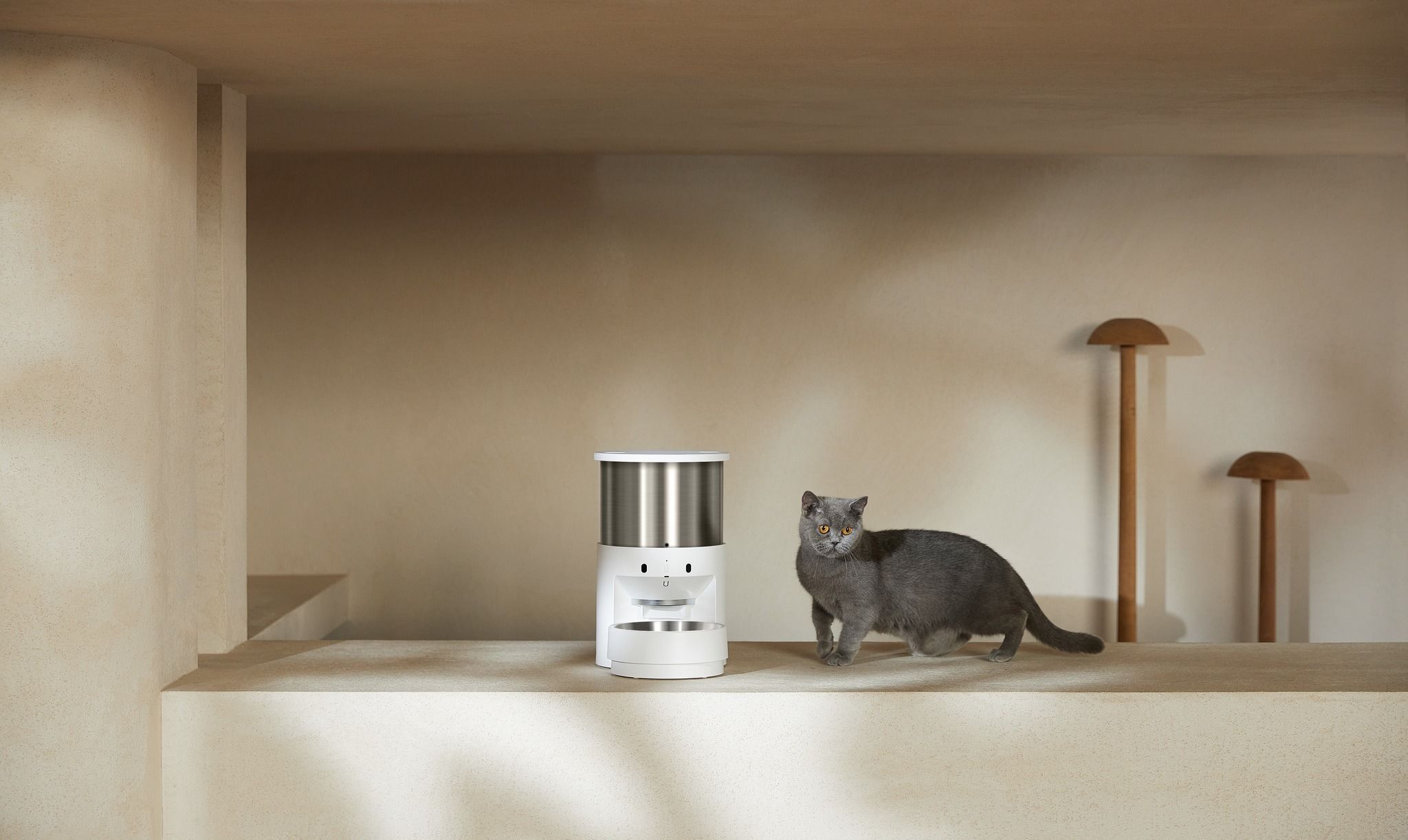 Lifestyle Images for PETKIT LIF PET 11