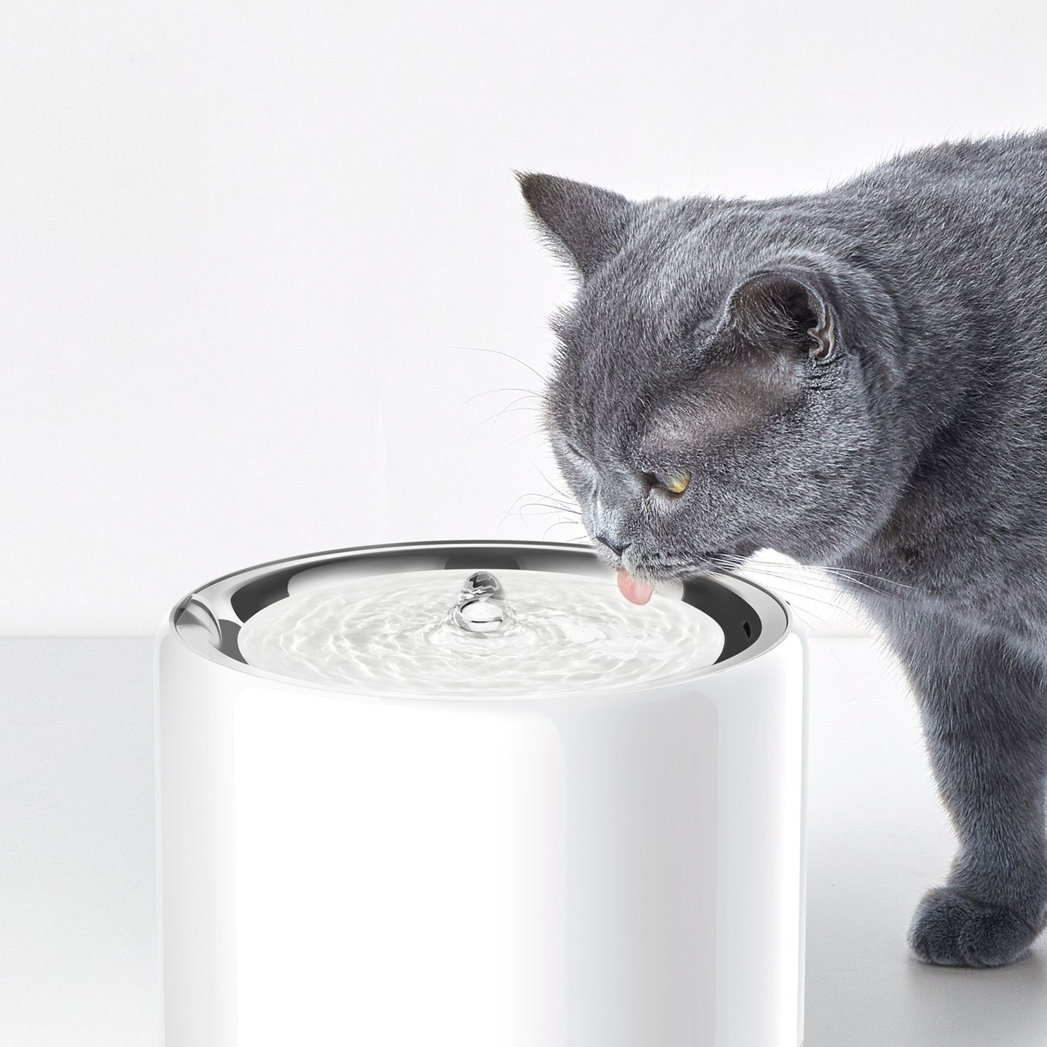 Lifestyle Images for PETKIT LIF PET 2