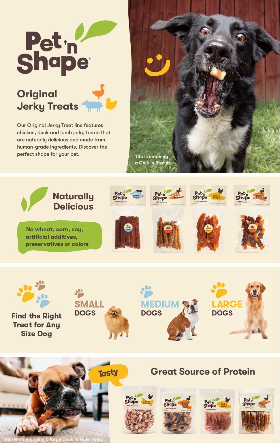 A+ Basic for Pet 'n Shape 1