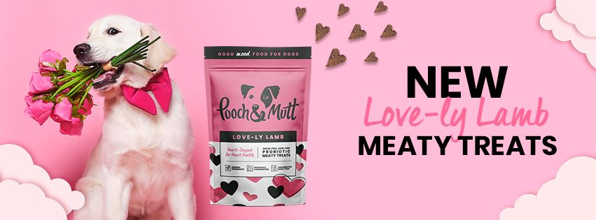 A+ Basic for Pooch and Mutt 31