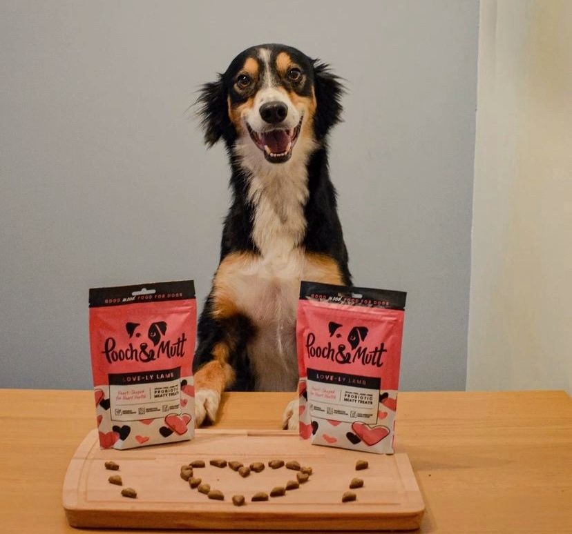 UGC Images for Pooch and Mutt 32