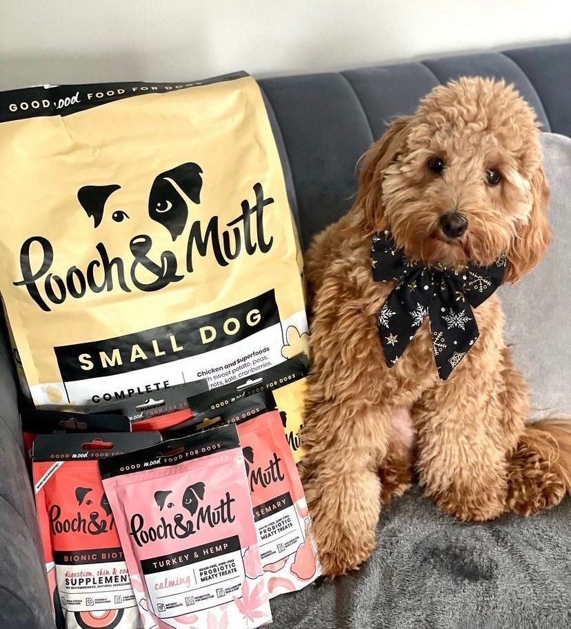 UGC Images for Pooch and Mutt 41