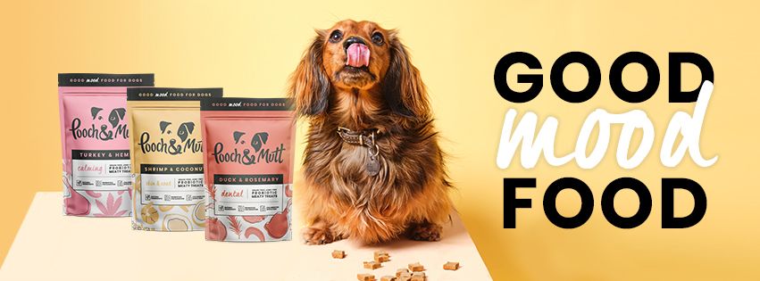 A+ Basic for Pooch and Mutt 42