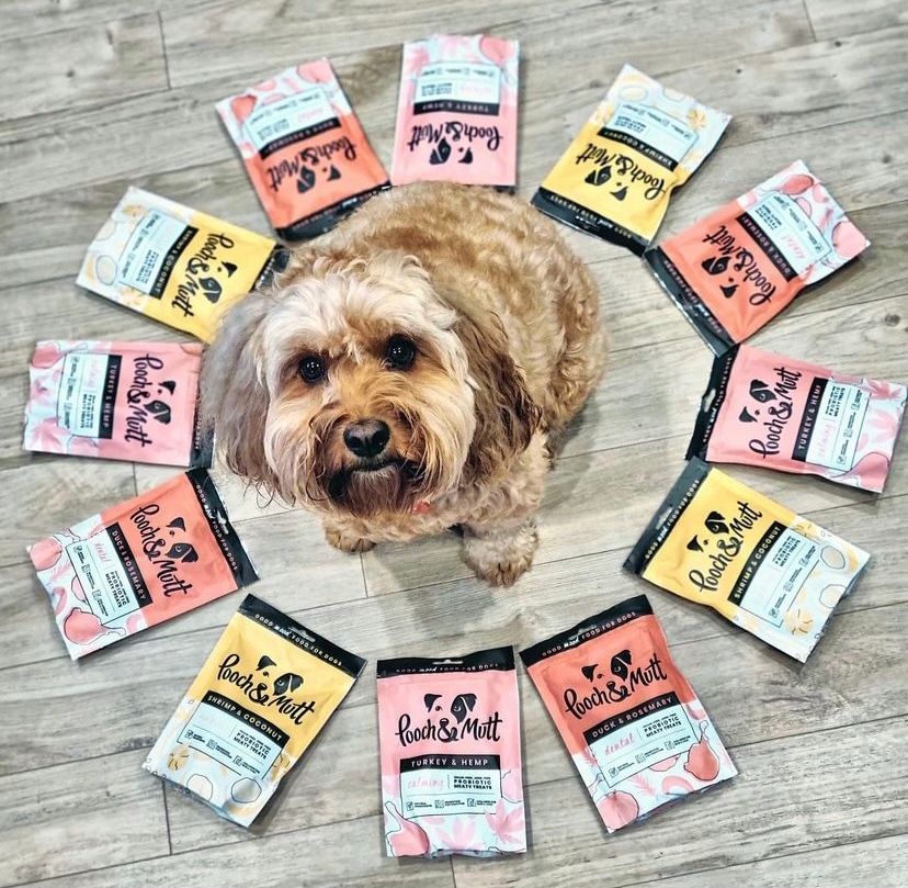 UGC Images for Pooch and Mutt 44