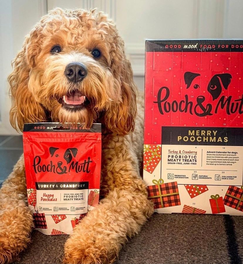 UGC Images for Pooch and Mutt 48