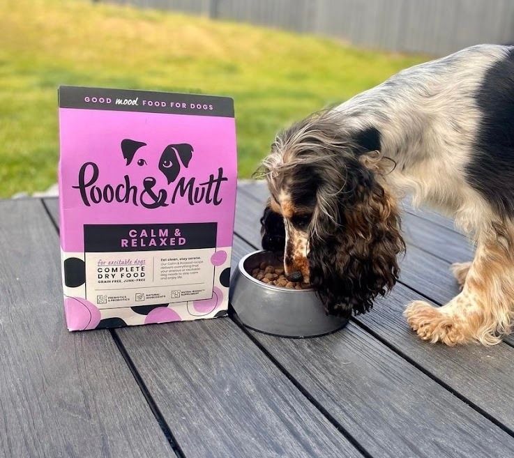 UGC Images for Pooch and Mutt 58