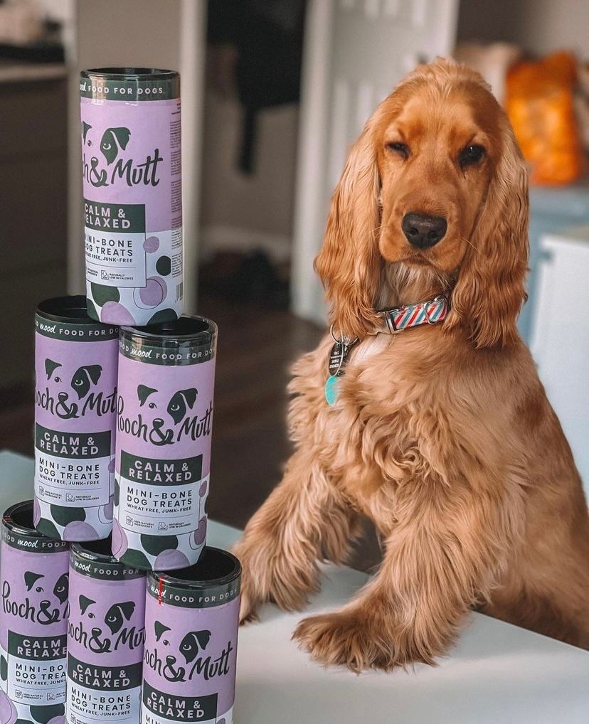 UGC Images for Pooch and Mutt 70