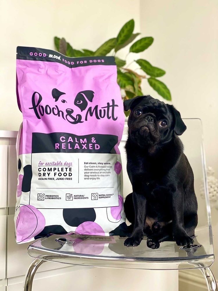 UGC Images for Pooch and Mutt 73