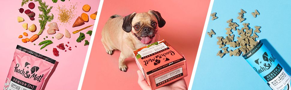 A+ Basic for Pooch and Mutt 7