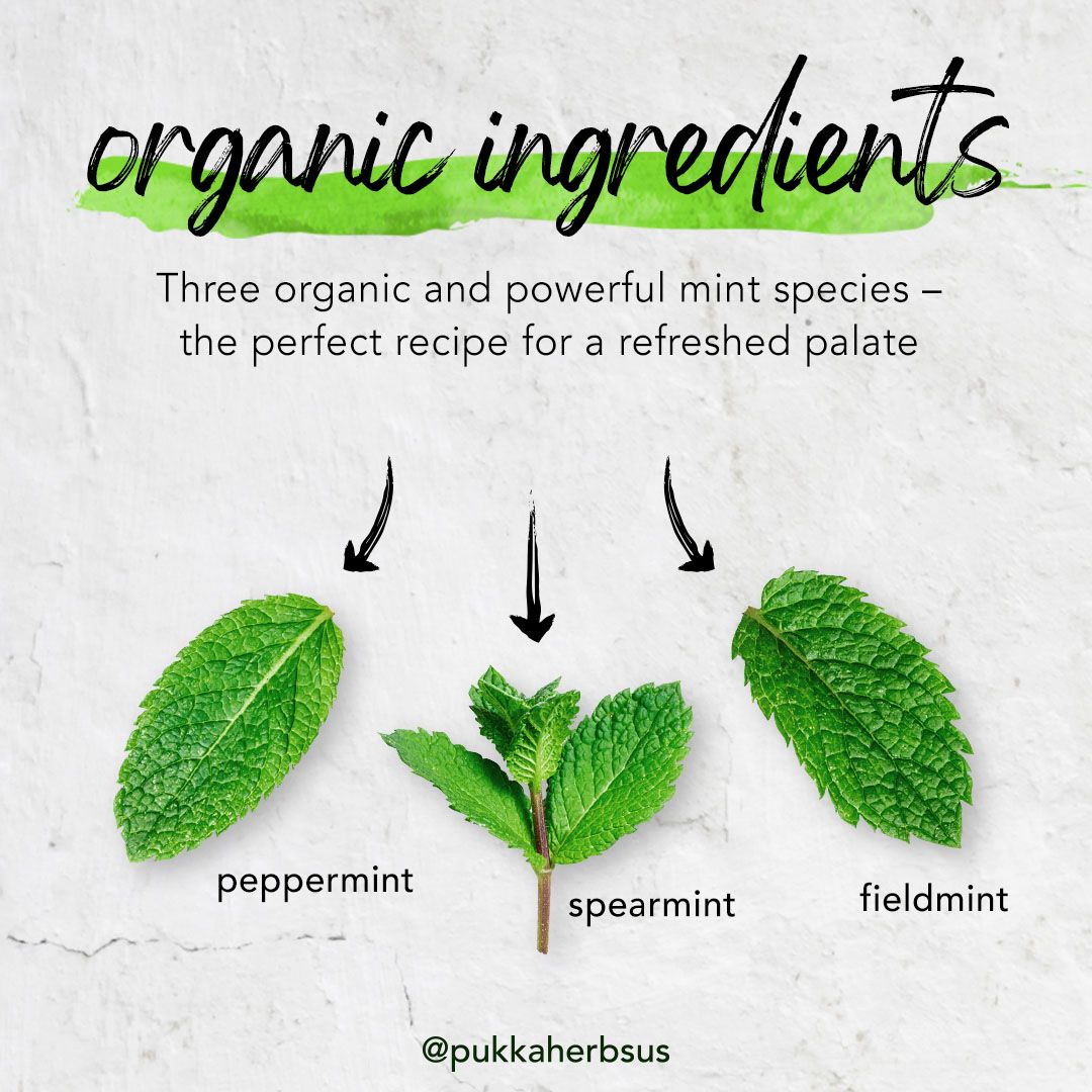 Pukka Herbs 20: Secondary Images