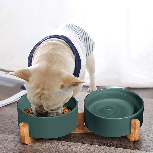 Lifestyle Images for SPUNKYJUNKY LIF PET 2