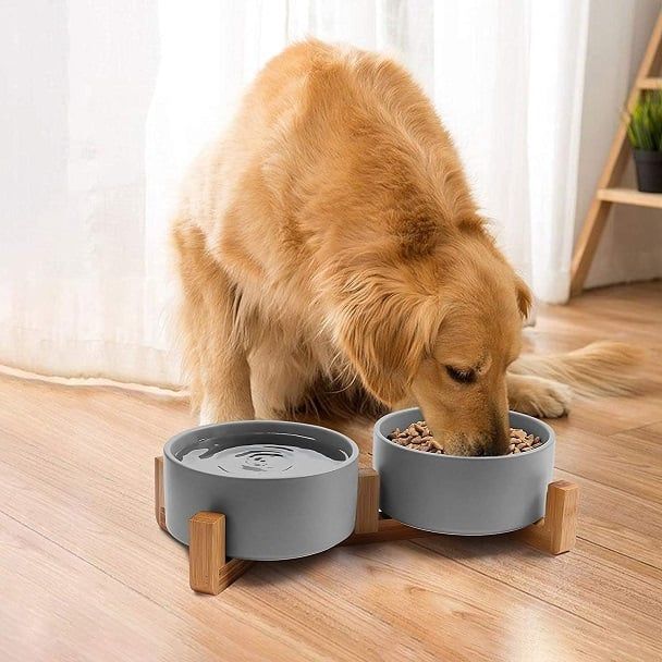 Lifestyle Images for SPUNKYJUNKY LIF PET 3