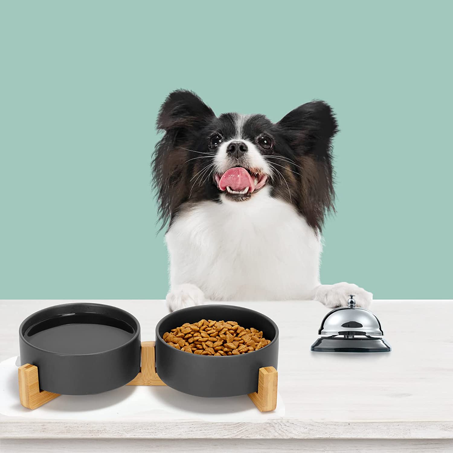 Lifestyle Images for SPUNKYJUNKY LIF PET 4