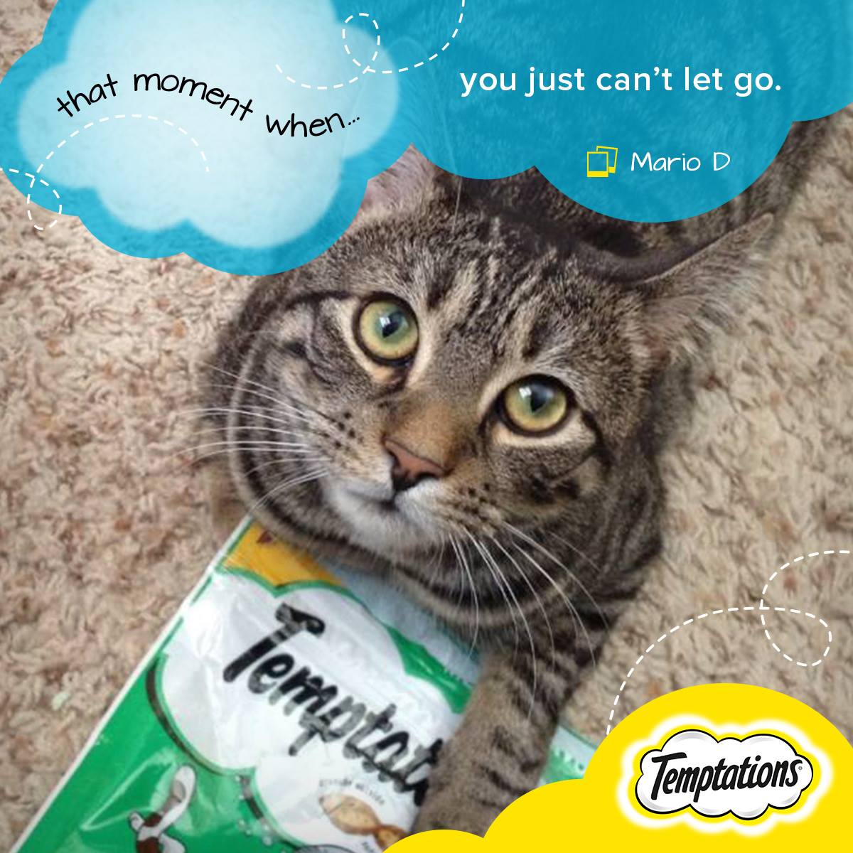 Temptations Cat Treats 15: Secondary Images