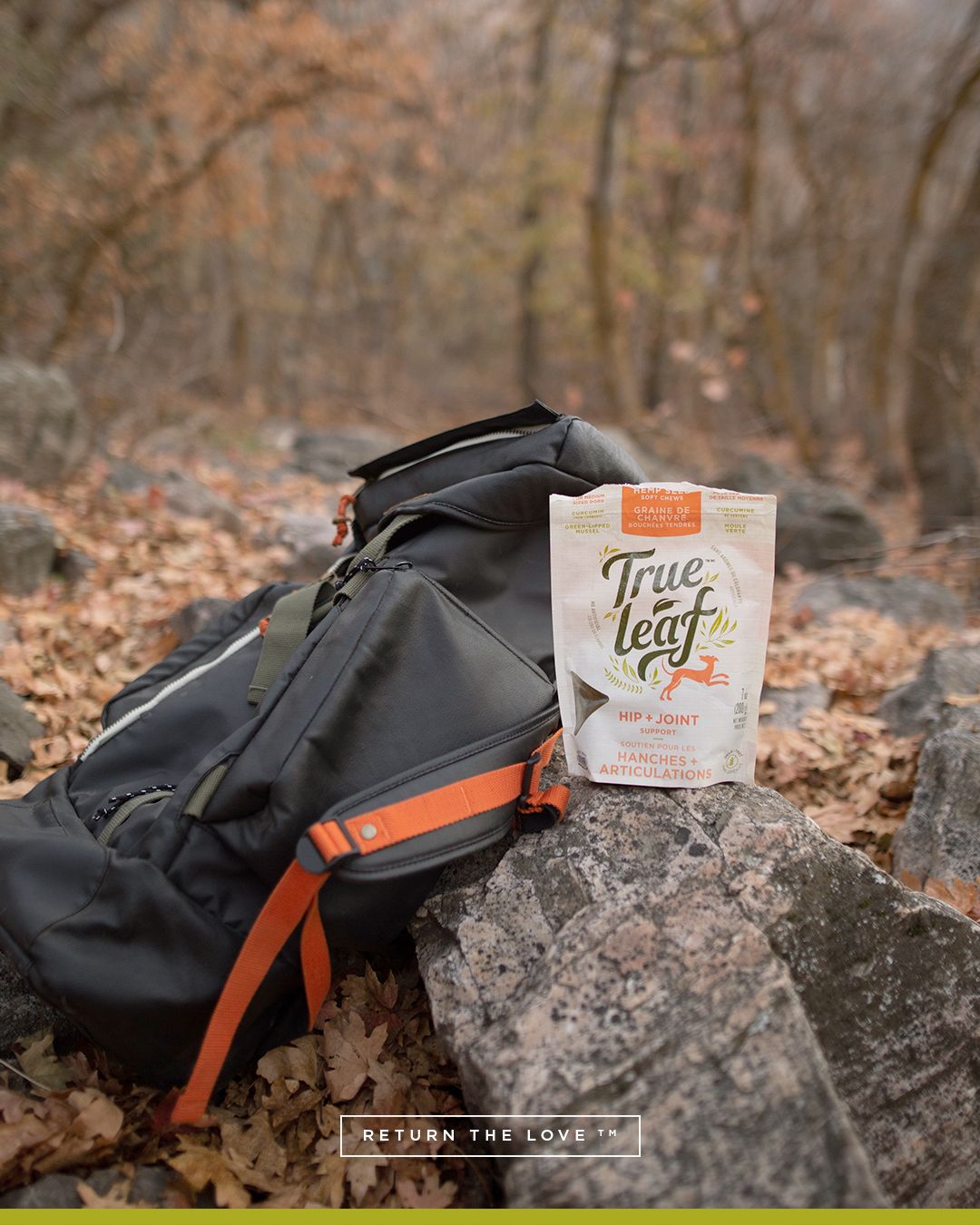 Lifestyle Images for True Leaf PET LIF PET 7