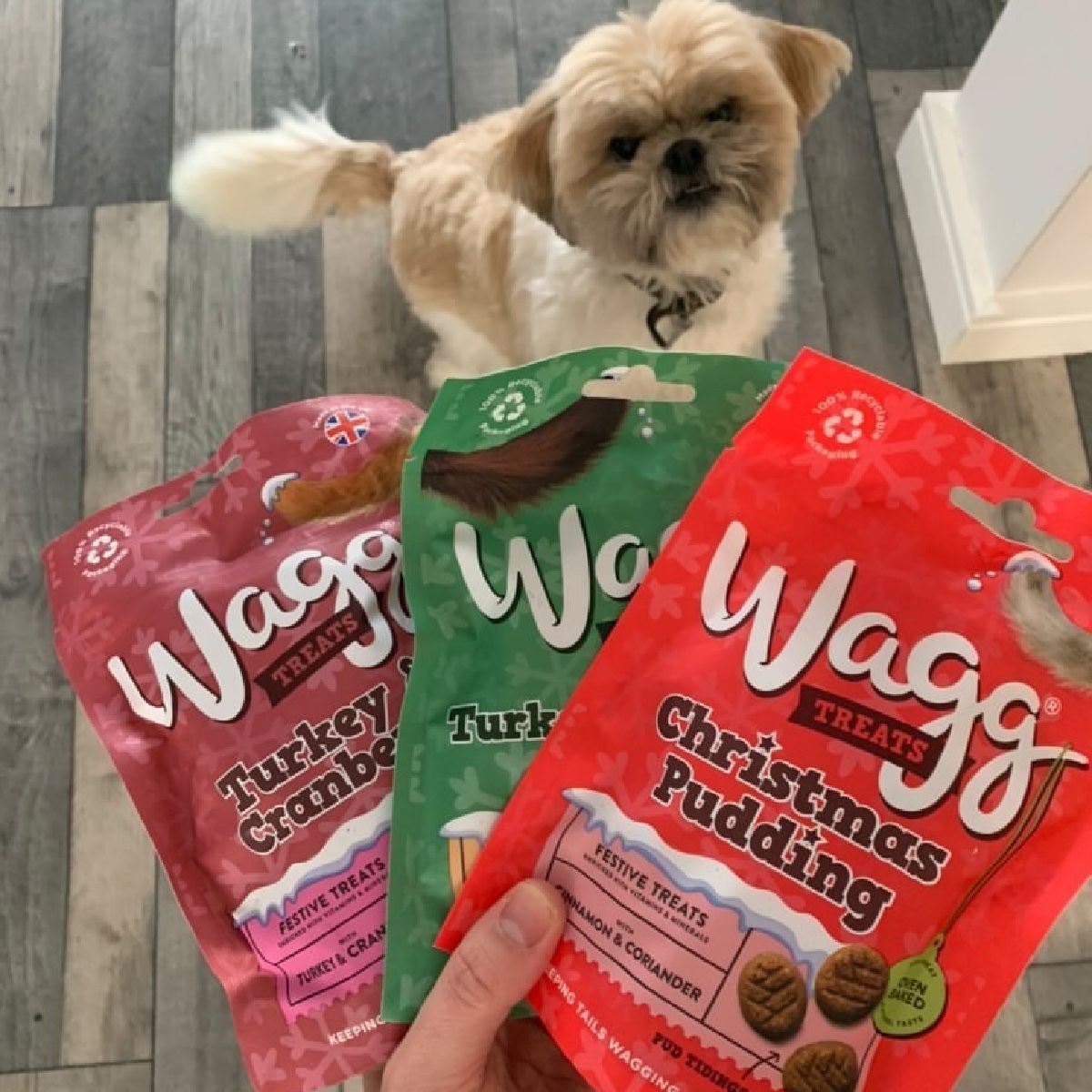 UGC Images for Wagg 6