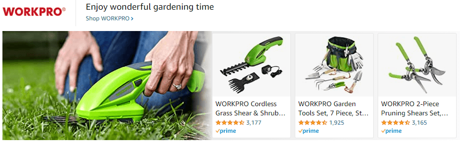 Sponsored Brands Ads for WorkPro