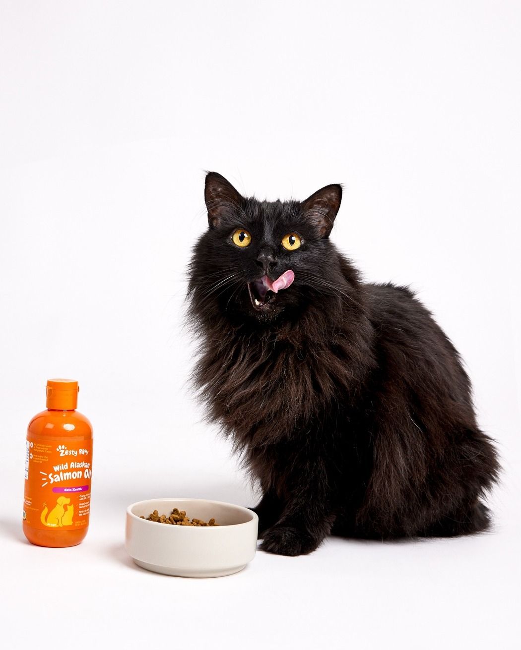 Lifestyle Images for Zesty Paws LIF PET 2