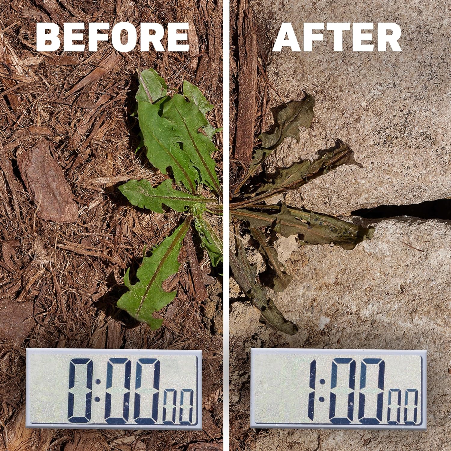 Secondary Images for Amazon.com : Spruce Weed Killer Spray