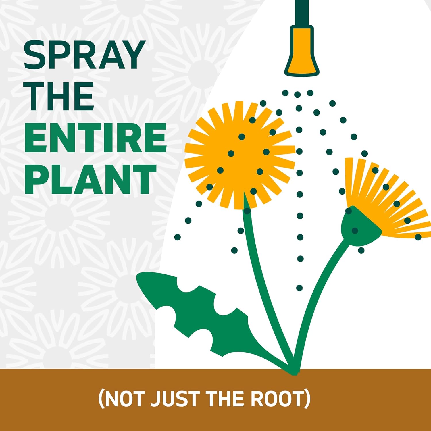 Secondary Images for Amazon.com : Spruce Weed Killer Spray